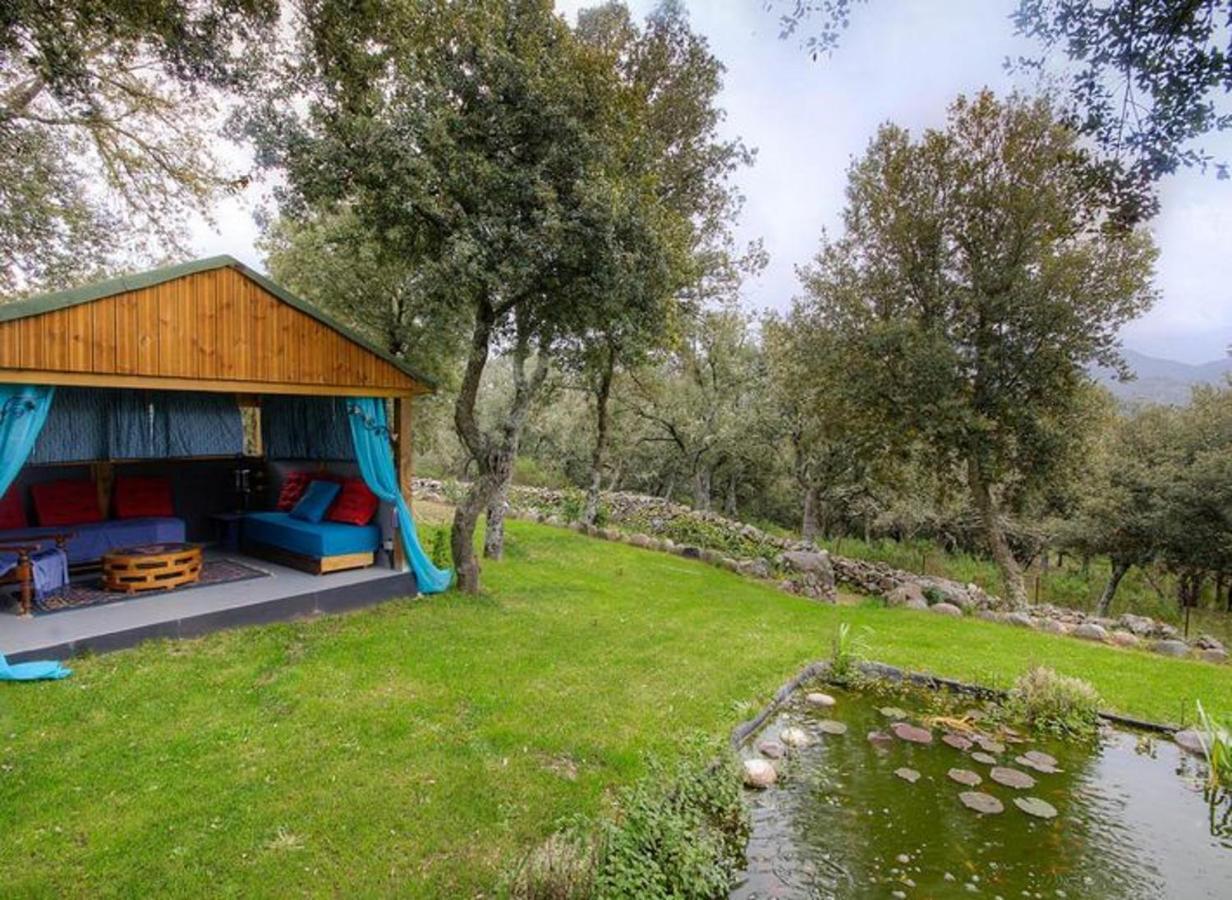 Studio avec jardin amenage et wifi a Moltifao Esterno foto