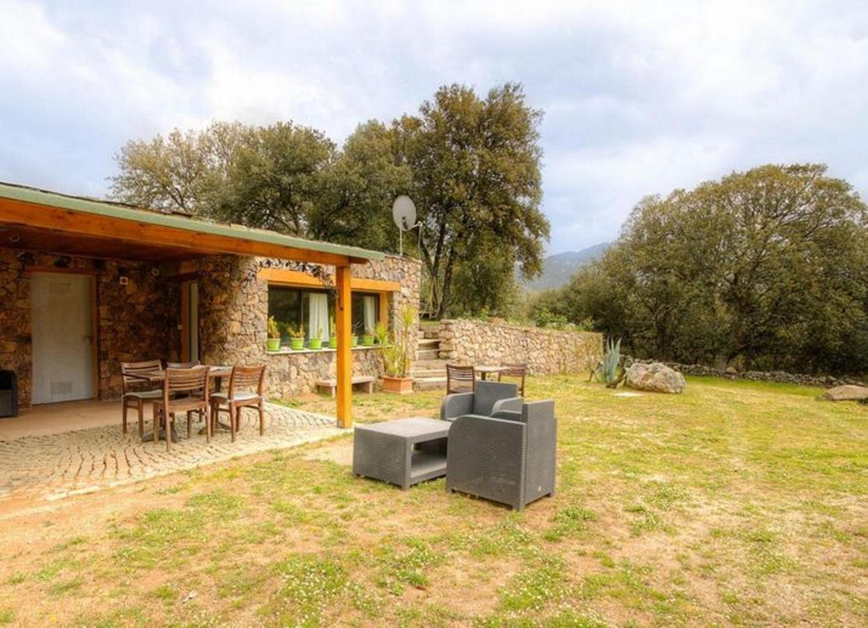 Studio avec jardin amenage et wifi a Moltifao Esterno foto
